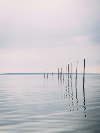 Quiet Leadership: Warum deine leise Art genau die Führungsstärke ist, die wir jetzt brauchen