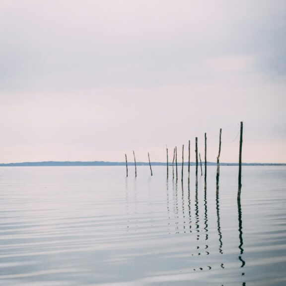 Quiet Leadership: Warum deine leise Art genau die Führungsstärke ist, die wir jetzt brauchen