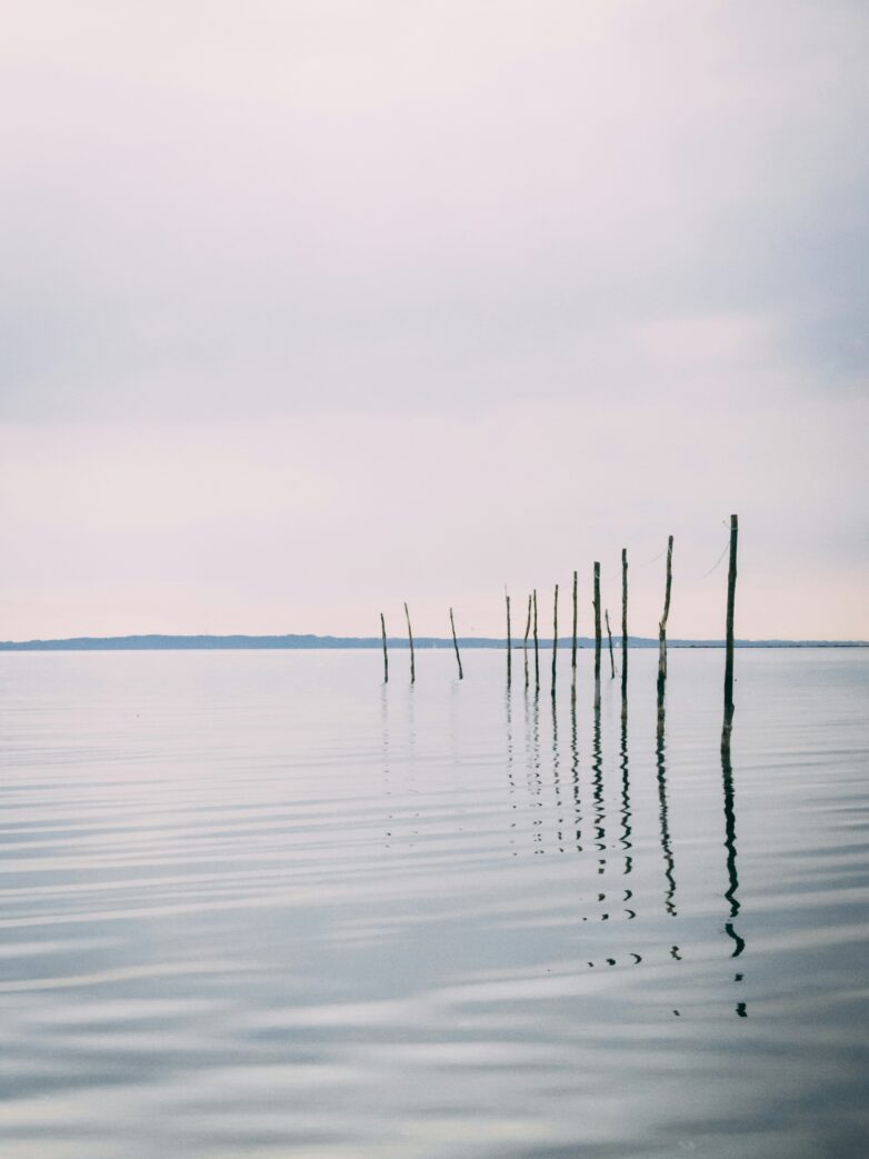 Quiet Leadership: Warum deine leise Art genau die Führungsstärke ist, die wir jetzt brauchen